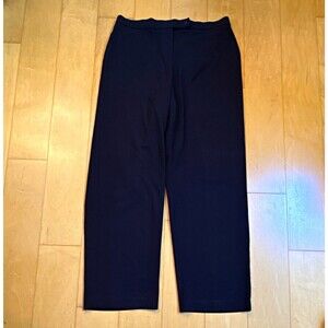 Pantology Black Straight Leg Dress Pants Women’s Size 14 Regular Inseam 28”